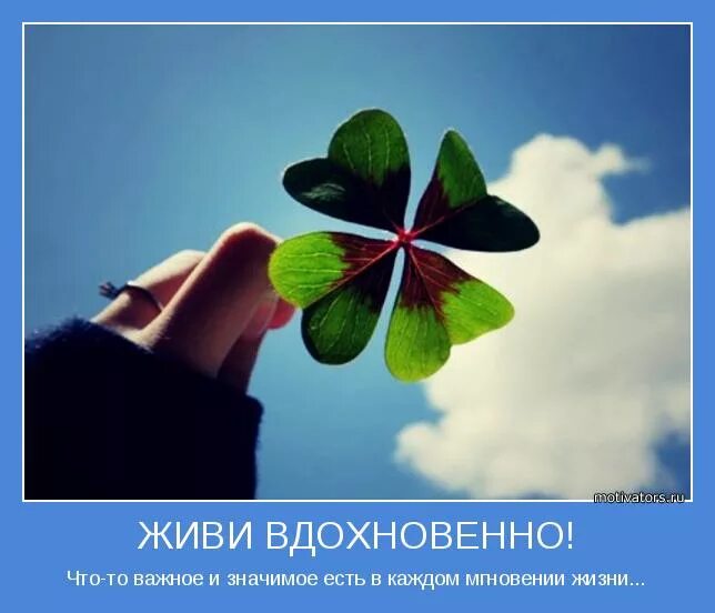 Pin auf Надо пробовать! Zitate, Gesundheit und wohlbefinden, Wohlbefinden