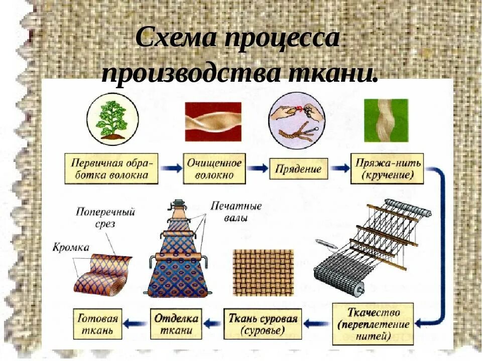 Схема технологического процесса производства тканей для 5 класса. Процесс изготовления ткани. Материал для производства ткани. Схема процесса производства ткани. Для изготовления ткани используют