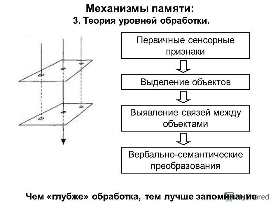 Теория уровневой переработки информации. Теория уровней переработки. Крейка и г. Локхарта. Теория уровневой переработки информации.