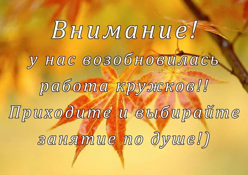 Унылая пора очей очарованье приятна мне твоя прощальная краса. Стихотворение пушкина унылая пора. Осенняя пора стих. Приятна мне твоя унылая краса. Приятна мне твоя унылая краса.
