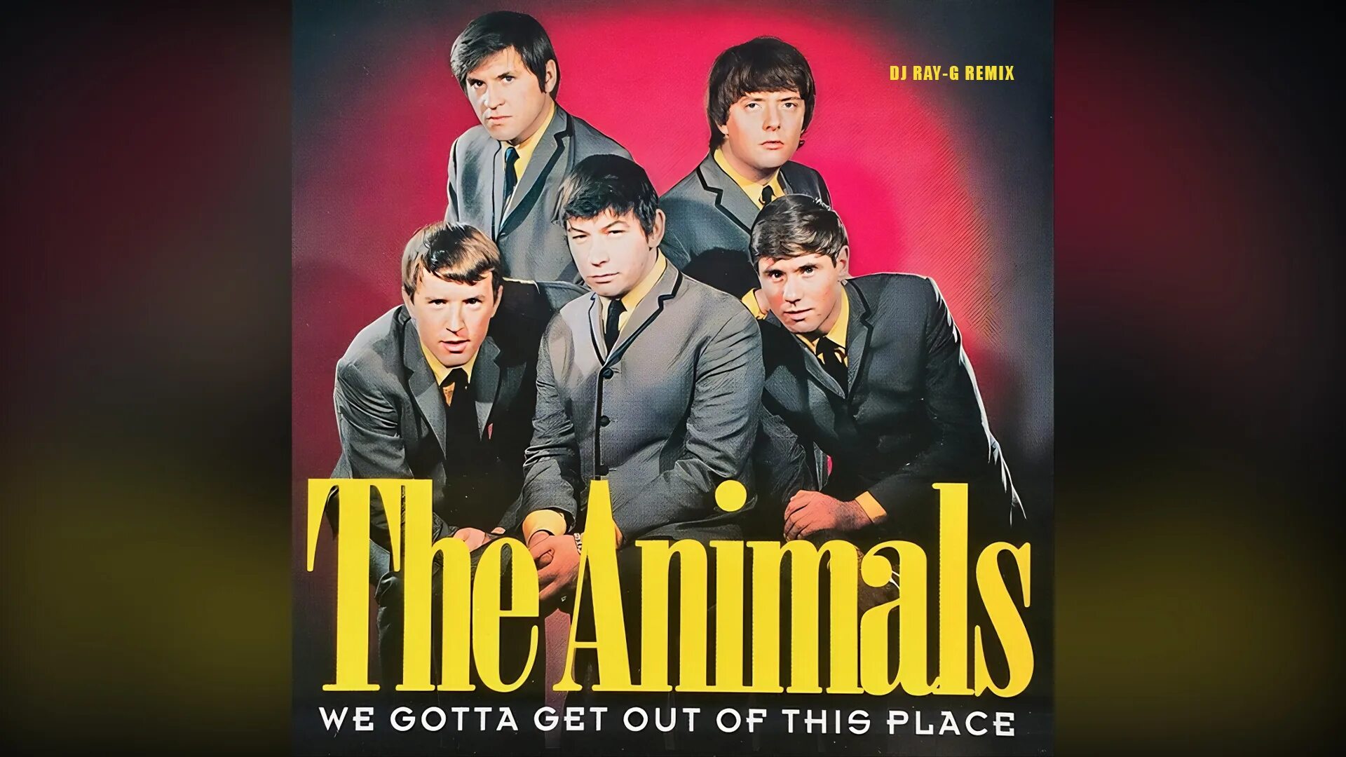 Зе энималс. Группа the animals. Animals we gotta get out of this place. The animals группа плакат. The animals сейчас.