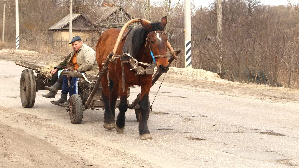 Телега с лошадью. Лошади в деревне. Телега деревенская. Лошадь запряженная в телегу.