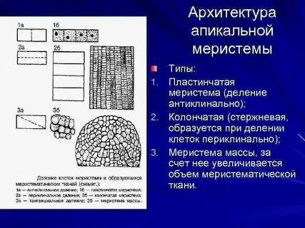 В какую ткань не заходят