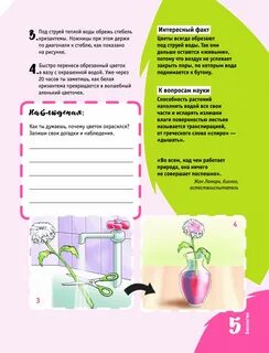 Опыту отзывы
