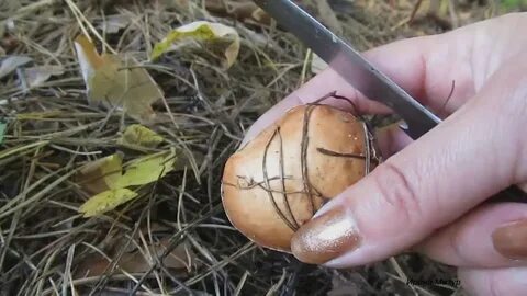 Руки после маслят