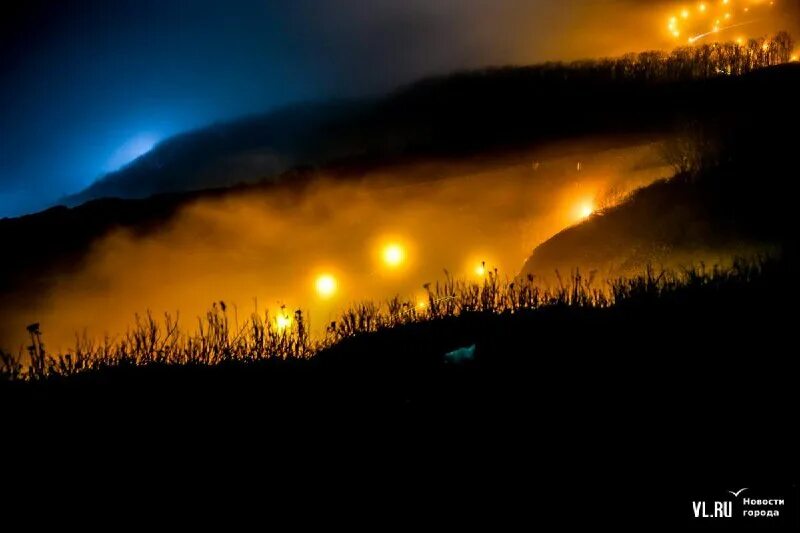 туманный кот. пейзаж туман. ночь накрыла как туман я спешу. туман. туманный парк.