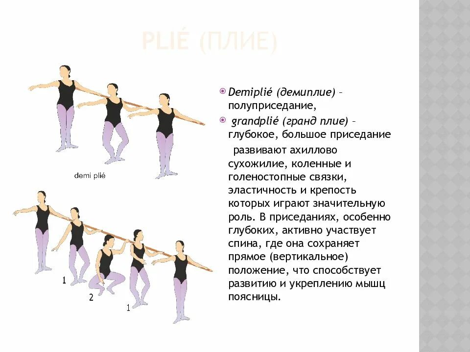 Деми плие в 1 позиции. Гранд Батман плие. Балетные термины плие. Деми и Гранд плие у станка в классическом танце. Сайт на первую позицию