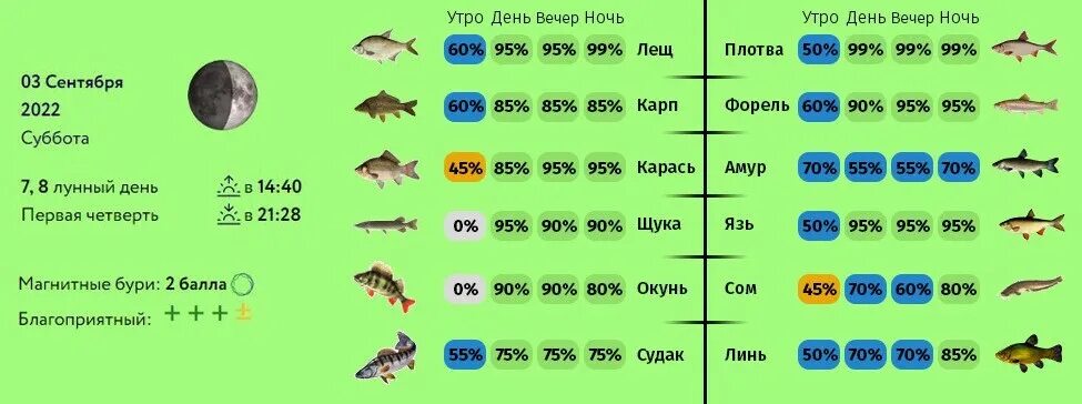 Клев щуки. Фаза Луны на клев щуки. Клёв щуки на год. Клёв щуки в сентябре. Клев липецк