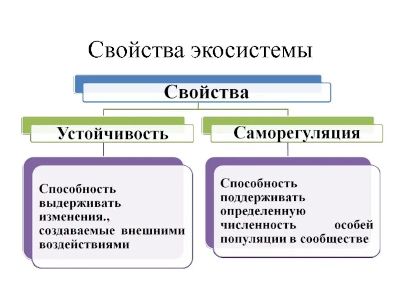 Что является естественной сменой экосистемы. Характеристики устойчивой экосистемы. Саморегуляция и устойчивость экосистем. Саморегуляция экосистемы. Устойчивость и саморегуляция природных экосистем.