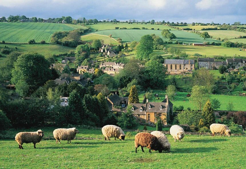 Котсуолдс Англия ферма. Cotswolds Англия овечья шерсть. Котсволдс Англия овцы. Северная Ирландия сельское хозяйство