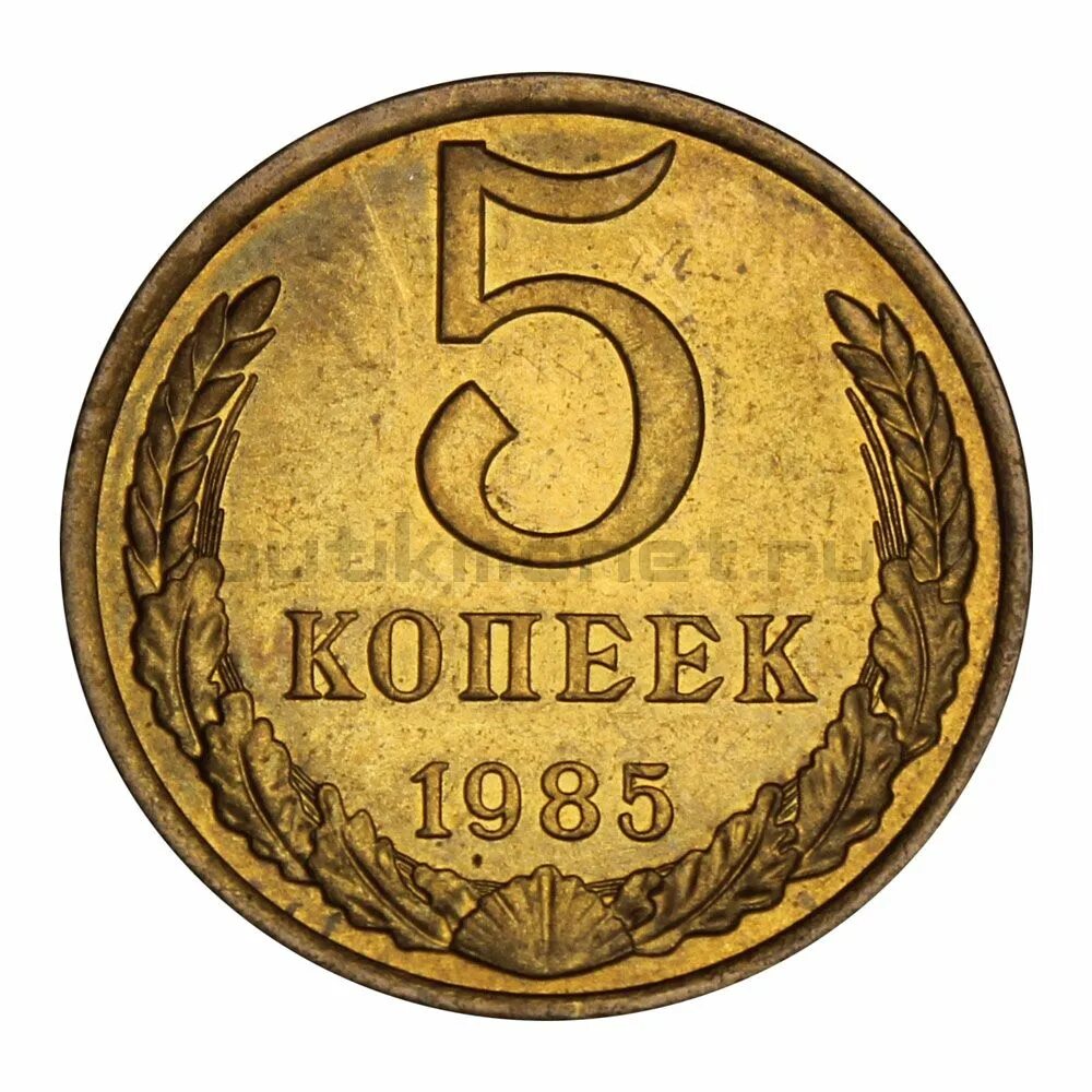 Монета 5 копеек 1985 k211203. 5 Копеек 1985. Монета 5 рублей без фона. Монета пять копеек 1985.