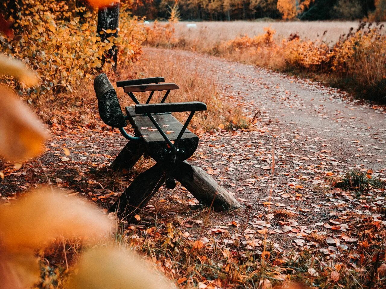 Autumn :: Behance