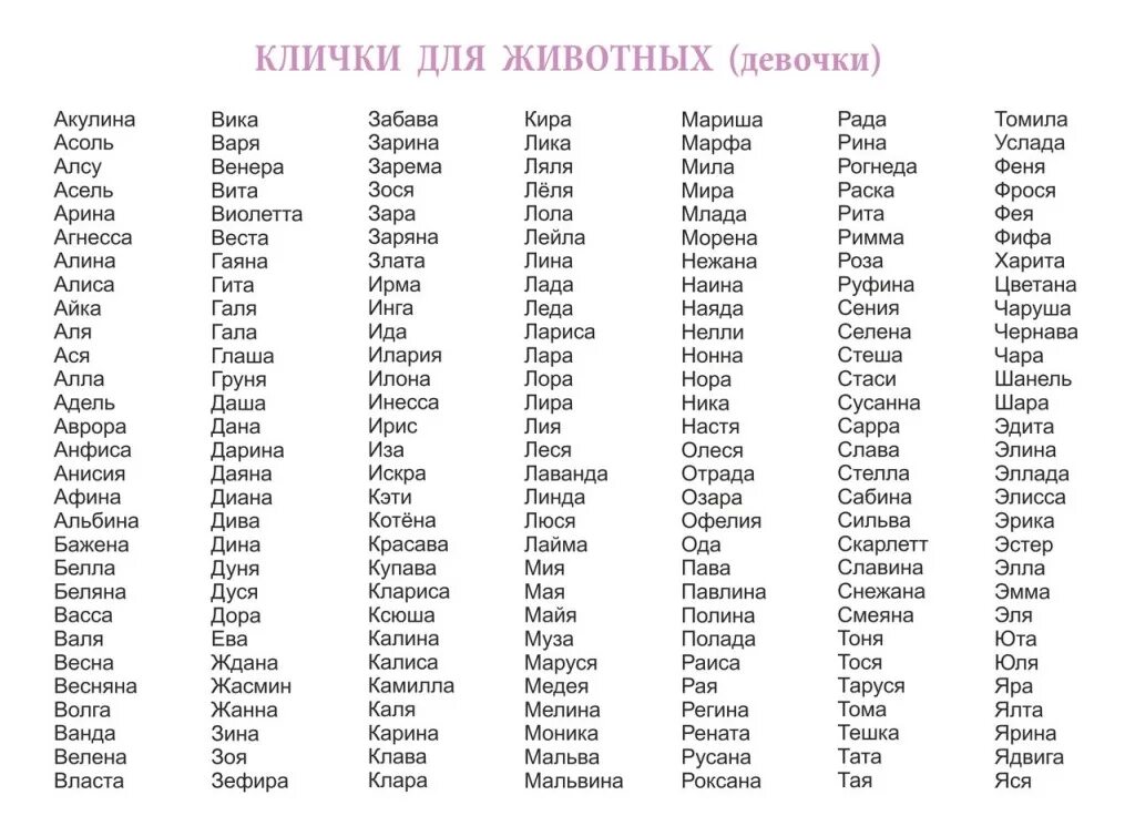 Имя для кошки с буквой с. Имена для собак девочек редкие. Прикольные имена для собак девочек. Имена для девочек собак редкие девочек. Женские имена кошек список.