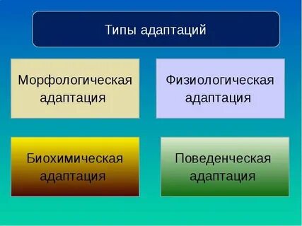 Виды адаптации тест