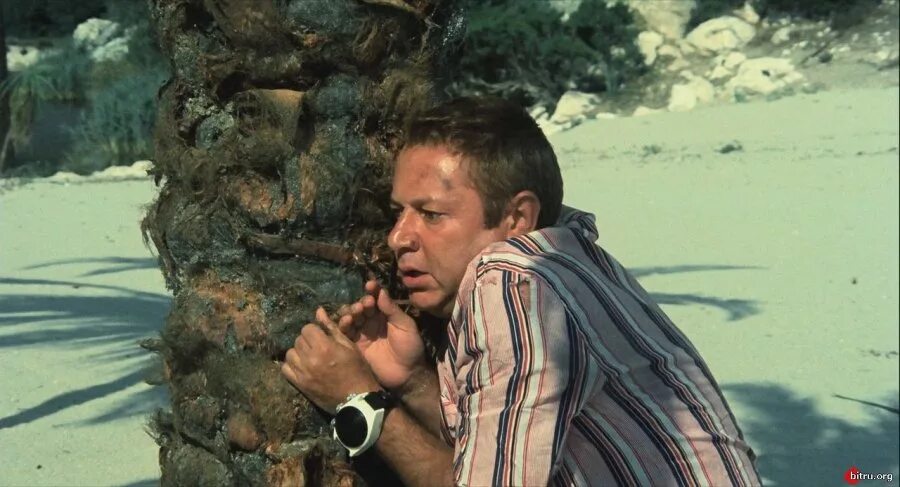 Робинзон 2011. Синьор робинзон бумеранг. синьор робинзон 1976.