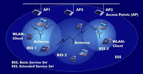 Extension service
