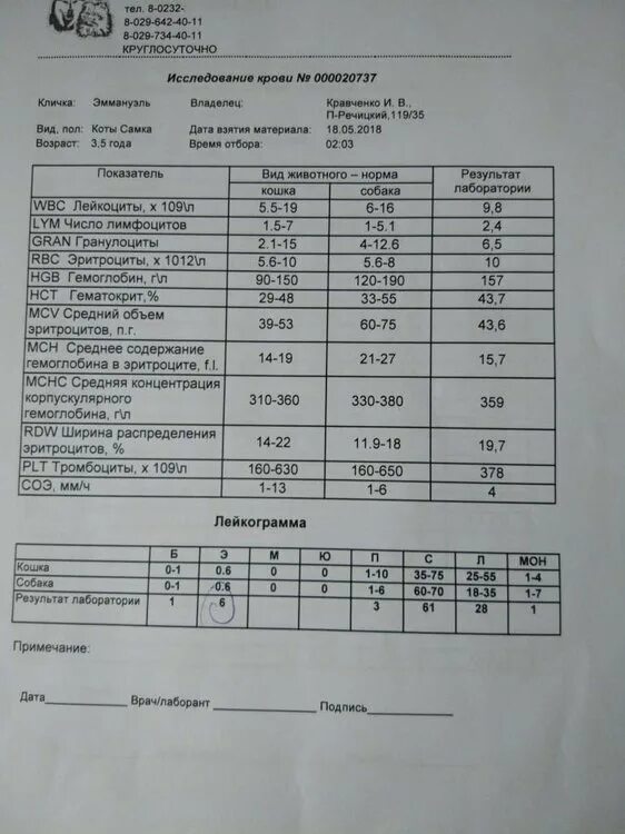 Анализ крови rdw sd повышен у женщин. RDW В анализе крови норма. RDW-CV В анализе крови что это такое. Анализ крови расшифровка RDW. RDW норма у детей.