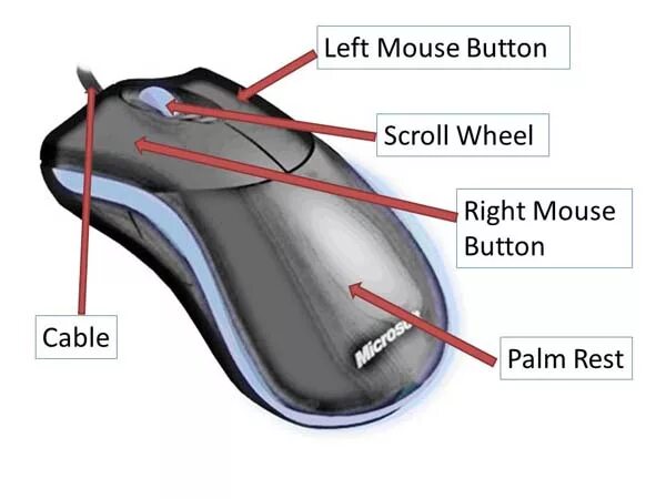 Sibm mouse. Computer Mouse Parts. Оптическая мышь внутри. Название частей мышки. Принцип действия оптической мыши.