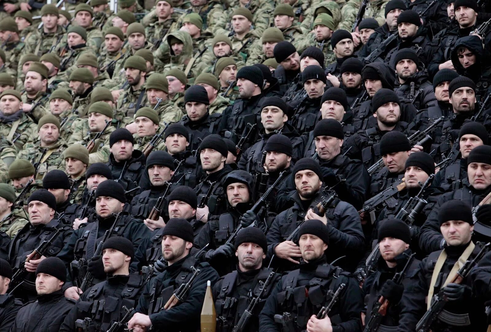 Ахмат численность