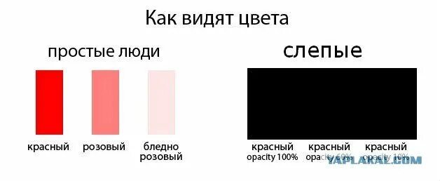 Как видят Слепые. Какой цвет видят Слепые. Как видит слепой. Как видят Слепые люди. Слепые видят больше