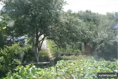 Продается сад