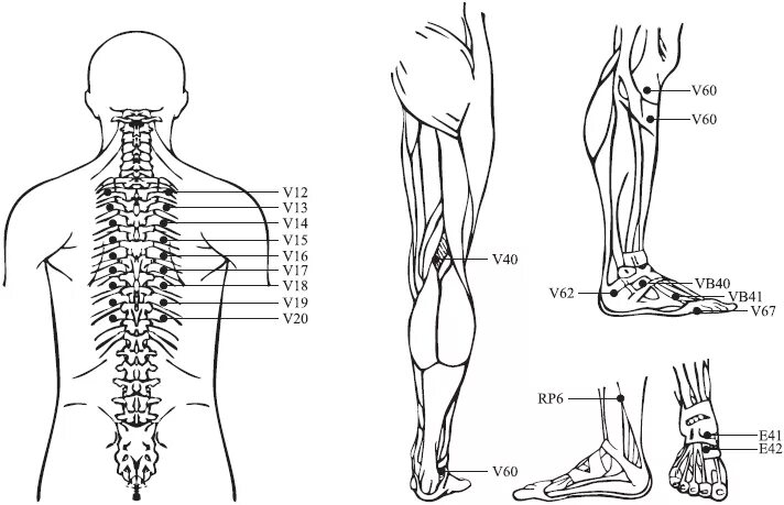 Зона поясницы. Грудной отдел позвоночника паровертебральнвн точки. Паравертебральные точки грудного отдела. Точки акупунктуры при грудном остеохондрозе. Акупунктурные точки при остеохондрозе грудного отдела позвоночника.