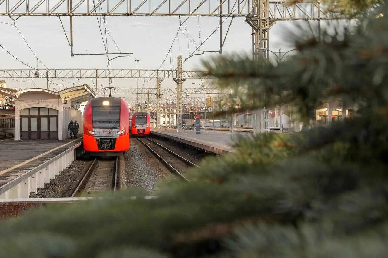 Движение поезда 21. Ласточка СПБ Сосново. Пригородные поезда Москва. Новые поезда в Питере. Виртуальный помощник в пригородных электричках СПБ.