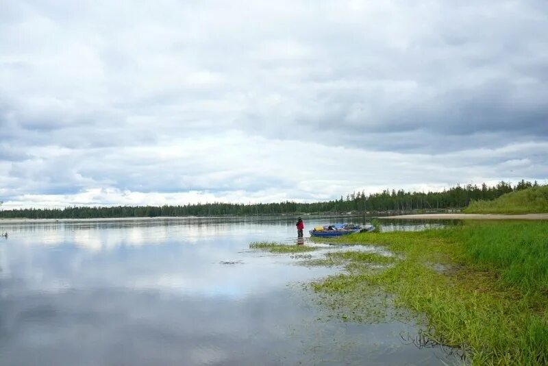 Айваседапур река. Река Пякупур. Етыпур река в ХМАО. Р. Етыпур ЯНАО.