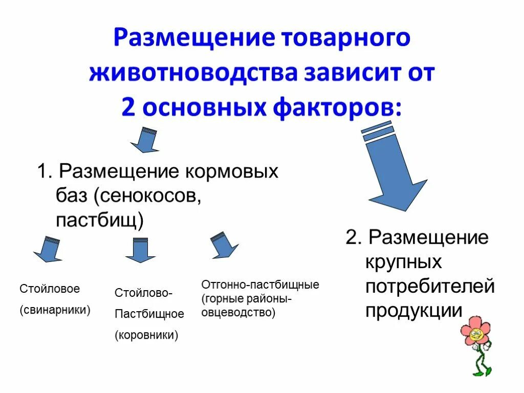 Направление животноводства в россии. Факторы влияющие на размещение отрасли животноводства. Факторы размещения животноводства. Факторы размещения отраслей животноводства. Скотоводство факторы размещения.