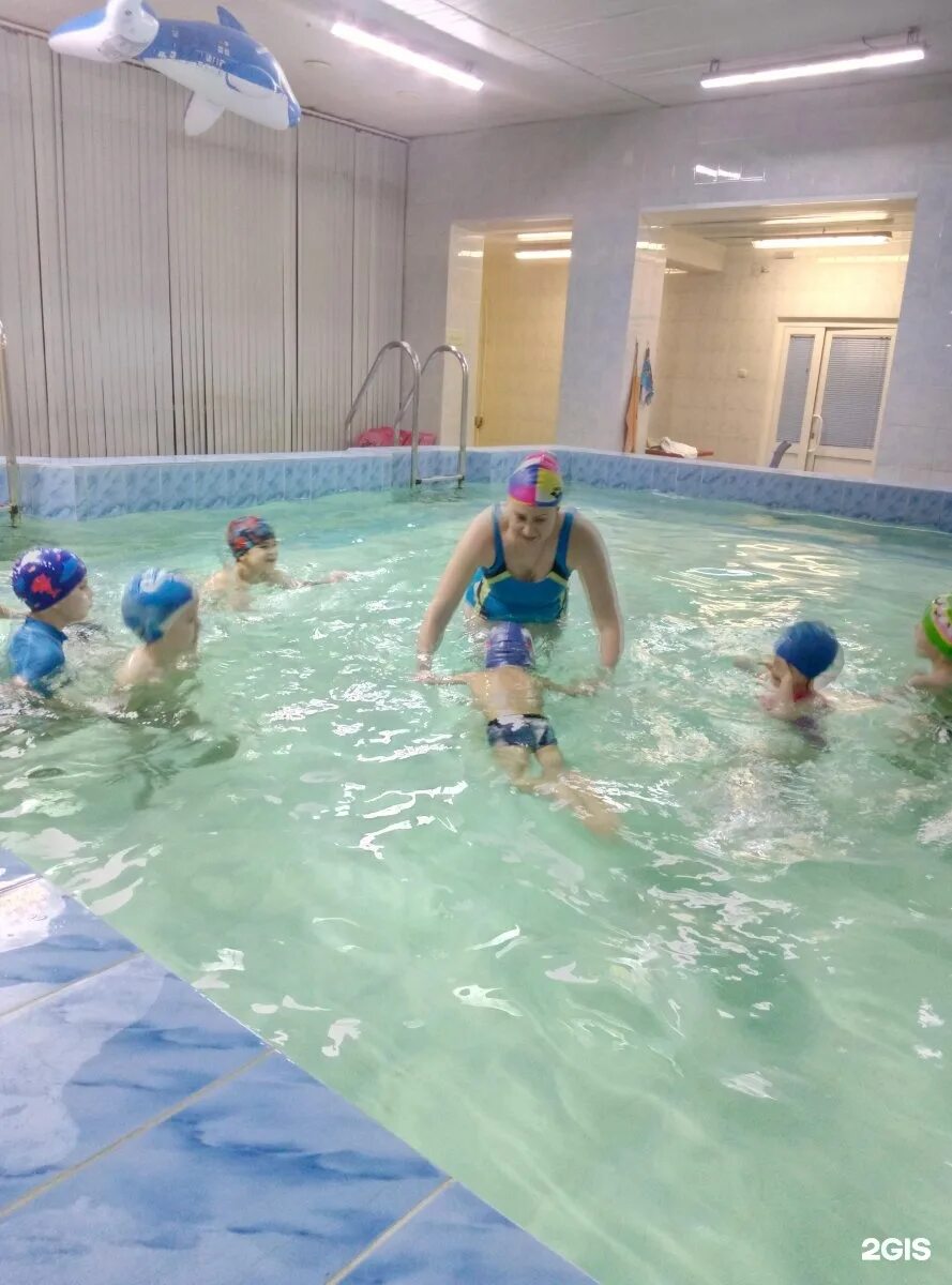 Бассейн дельфин в усть-каменогорске. Два средних бассейна. Школа 20 миасс бассейн. Открытый бассейн в санкт-петербурге на большой пороховской. Бассейн средний 2.