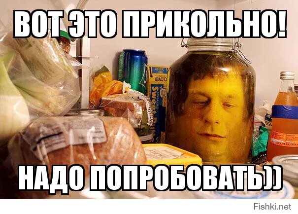 Котик танцует. Едрить твою налево. Вот это поворот картинка мем. Вот это прикольно. Вот это прикольно.