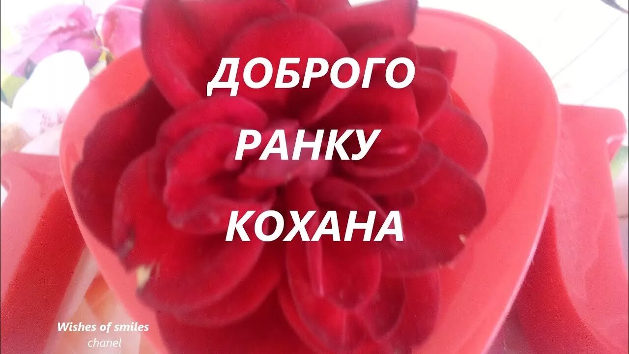 Доброго ранку Кохана. Доброго ранку Кохана картинки. Побажання доброго ранку коханому. Доброго ранку Кохана на украинском. Как переводится кохана