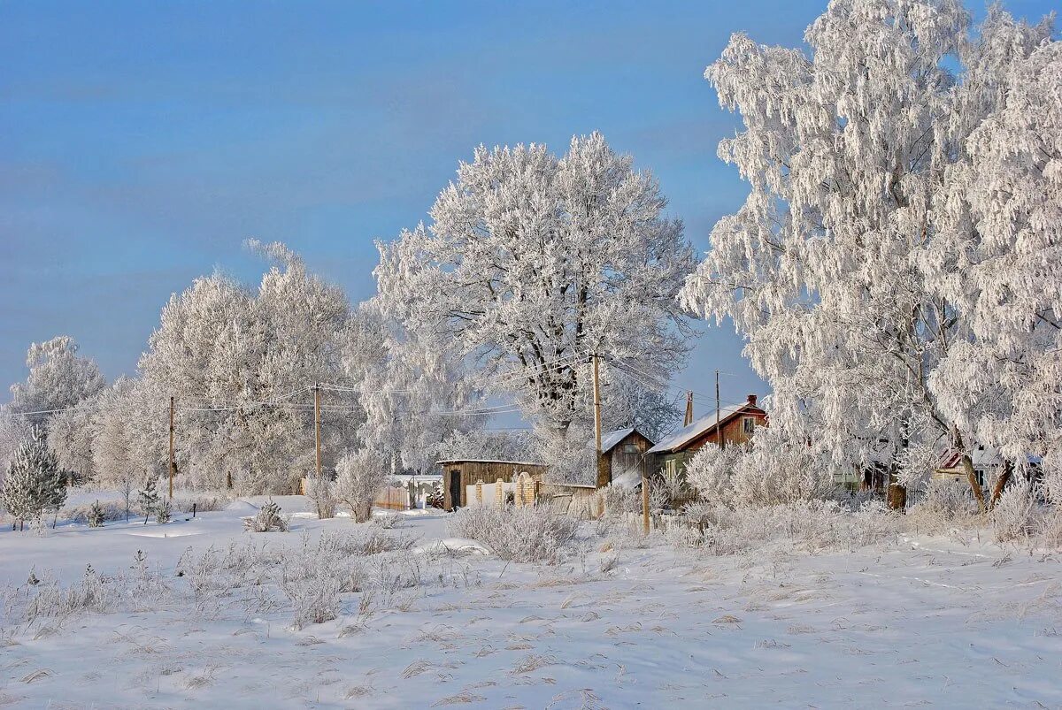 Зимняя деревня. Зима в деревне. Деревня зимой. Заснеженная деревня. Разгар зимы