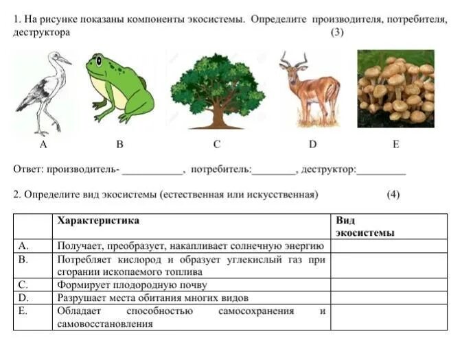 Контрольный тест по теме экосистемный уровень. Задачи по естествознанию. Задания по природоведению. Тесты по естествознанию. Тестовые задания по естествознанию.