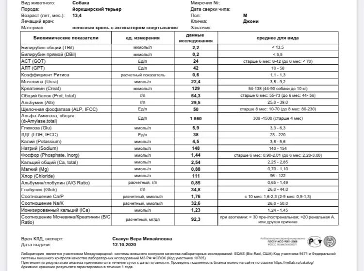 Общий анализ крови шанс био. Шанс био анализ. Анализ кала шанс био. Креатинин у кошек норма. Мочевина креатинин норма у мужчин