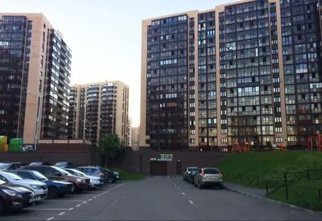Счастливая жизнь мурино