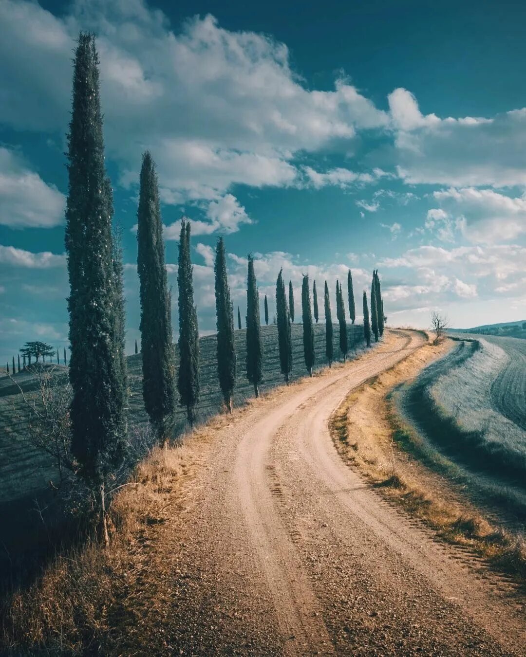 Красивая дорога. Дорога красота. Дорога к морю. Farm road