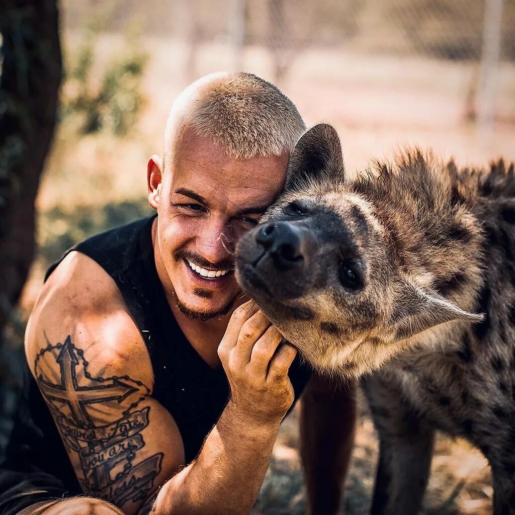 бойся дика. дэн шнайдер африка. кого боится медведь в лесу. бойся дика. бойся дика.