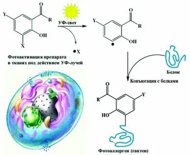 Реакцию запускали
