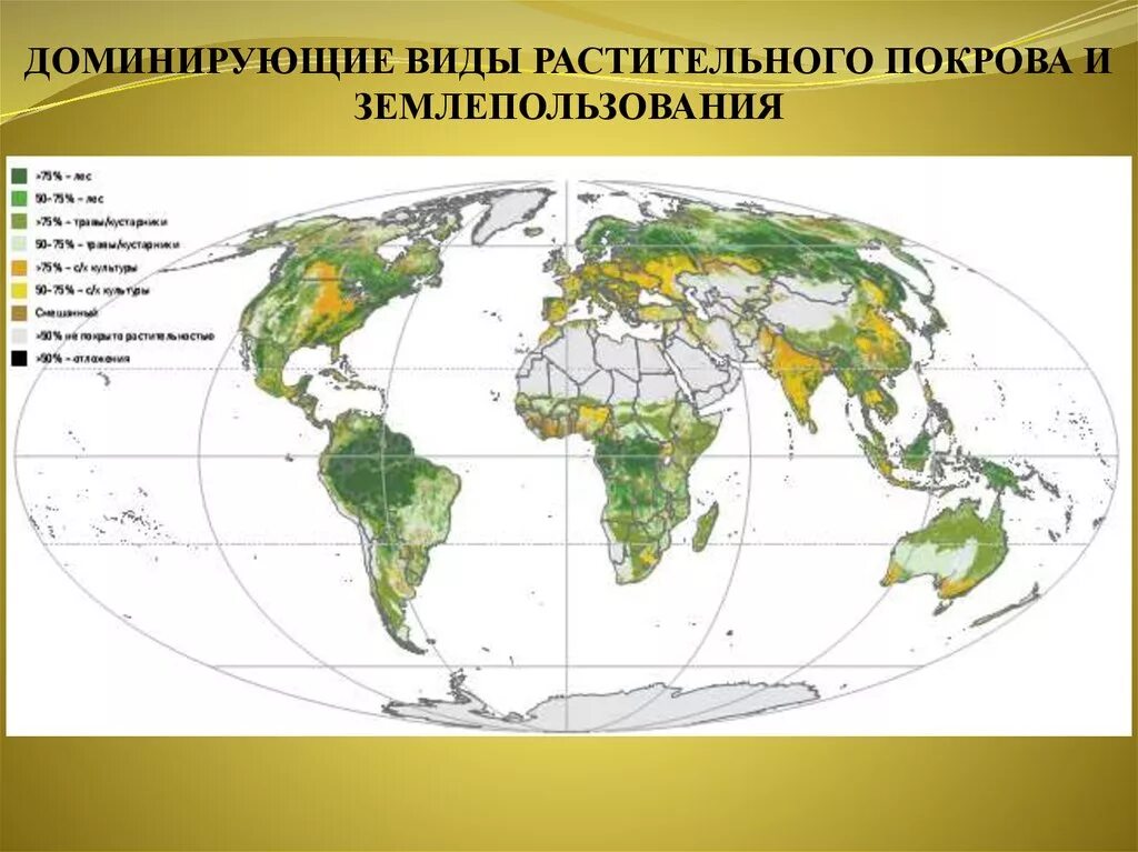 Типы растительности земного шара. Типы растительного Покрова. Карта растительного Покрова России. Закономерность размещения растительного покрова на земном шаре