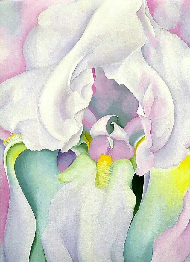 Джорджия о’кифф (1887–1986). Художница джорджия о'кифф. Художница джорджия о'кифф. Джорджия о'киф художница. Джорджия откифф художник.