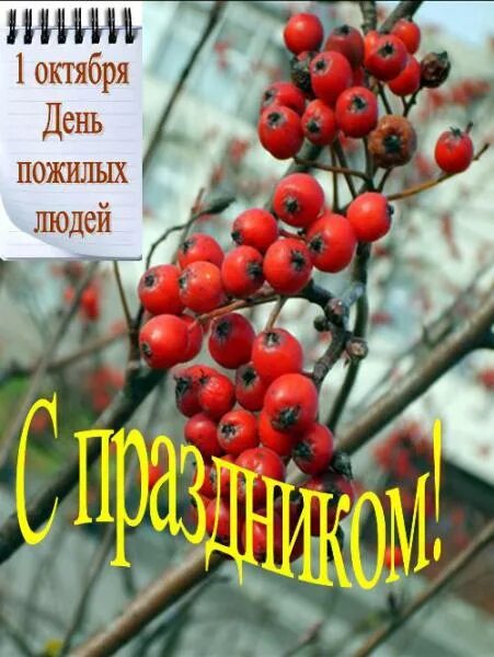 День добра и уважения. 1 октября день добра и уважения. День октября. Открытки с последним днем октября. День октября.