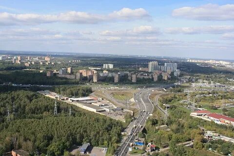 Химкинский лес