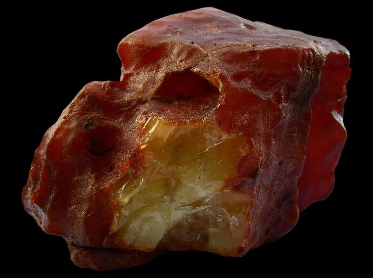 Amber download