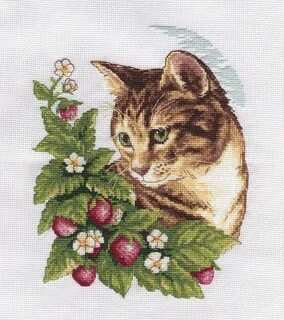 Вышивка кошка