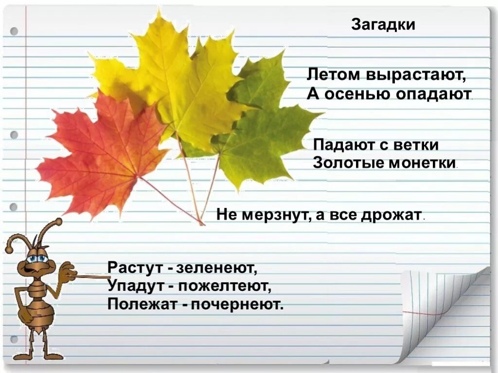 Вопрос к слову листьев. Загадки про осень. Загадки про осенние листья. Загадки про листья. Загадки на осеннюю тему.