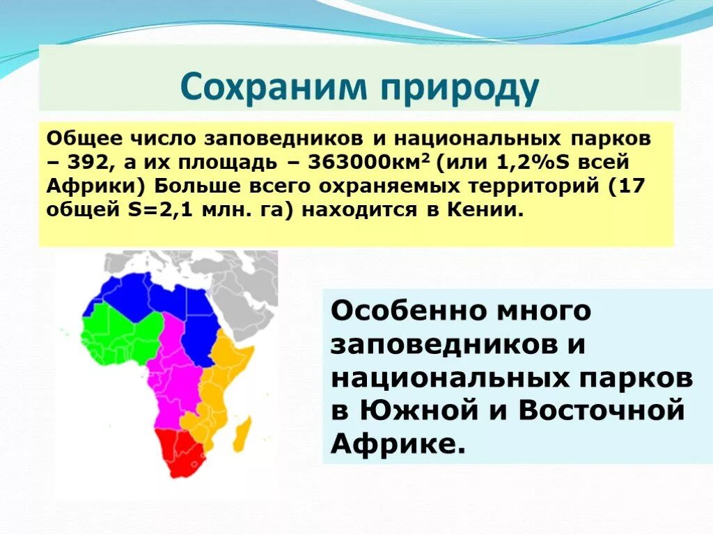 Проблемы восточной африки. Пути решения экологических проблем Африки. Пути решения проблем Африки. Современные проблемы Африки.