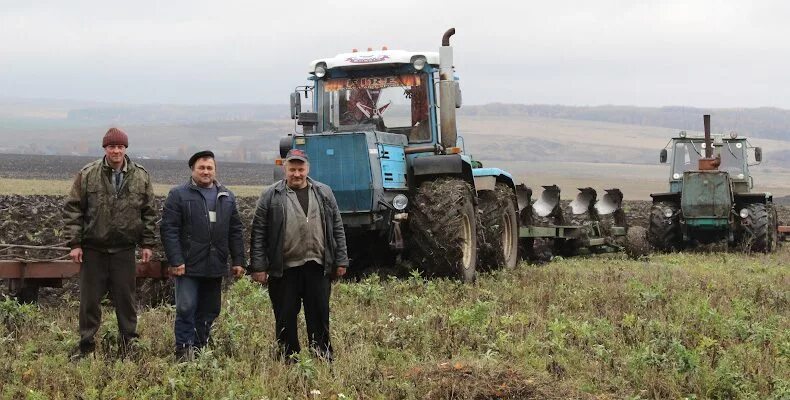 сельское хозяйство алтайского края зерноводства. нижегородская область колхозы. нижегородская область колхозы. деревня дашино вознесенский район нижегородская область. глеб никитин сельское хозяйство.