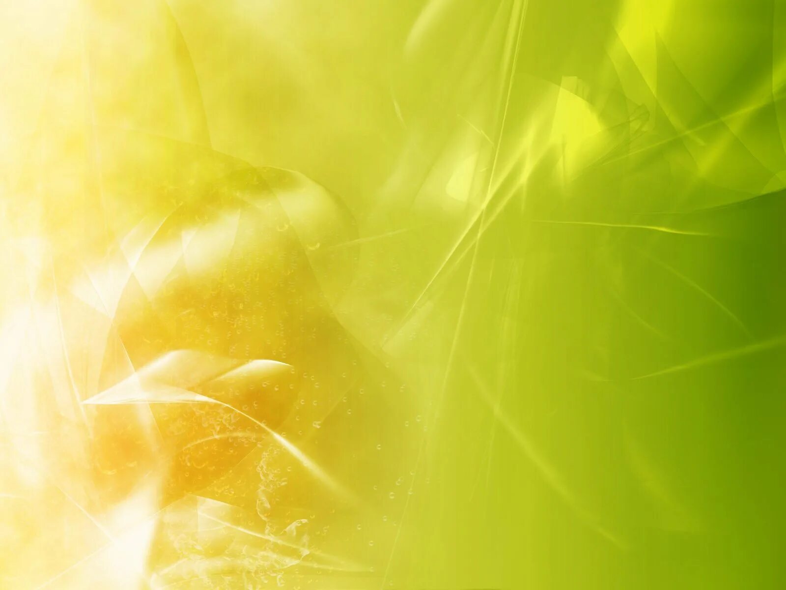 Желто зеленый фон. Нейтральный фон. Светло зеленый фон. Светлый желто зеленый. Светло желтый.