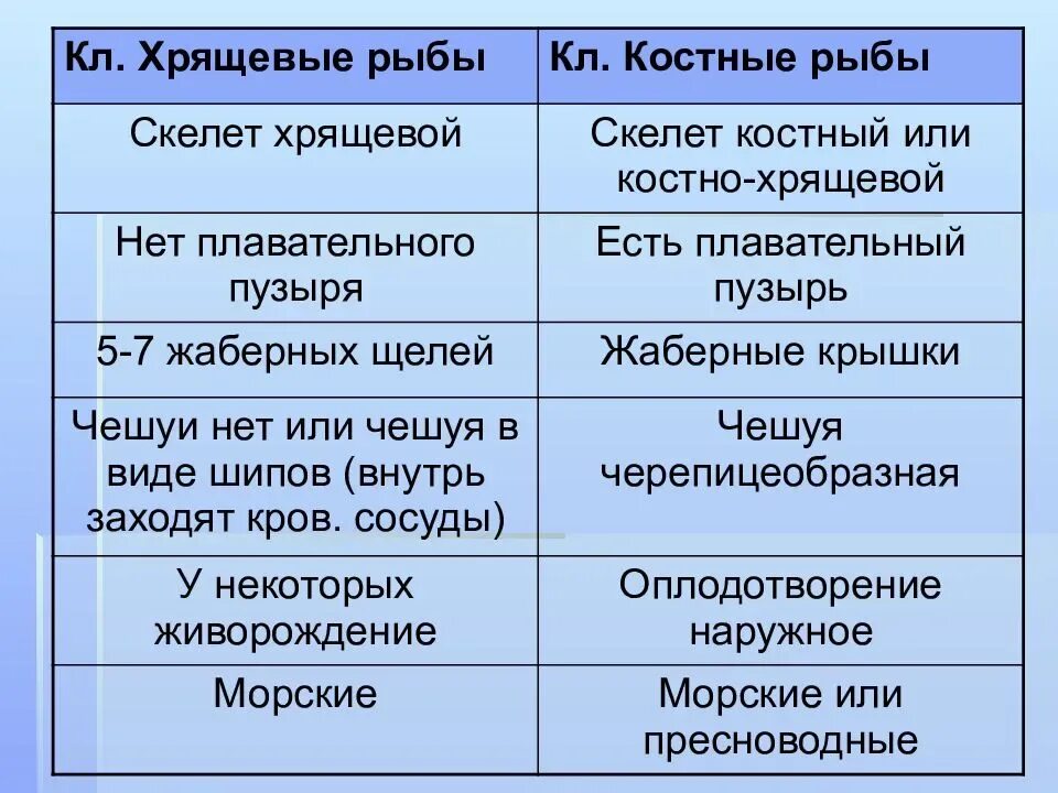 Сравнительная характеристика типа Хордовые таблица 7 класс. Общая характеристика хордовых 7 класс таблица. Тип Хордовые общая характеристика 7 класс таблица. Общая характеристика хордовых.